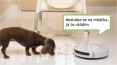Fotogalerie: Roomba 534 PET